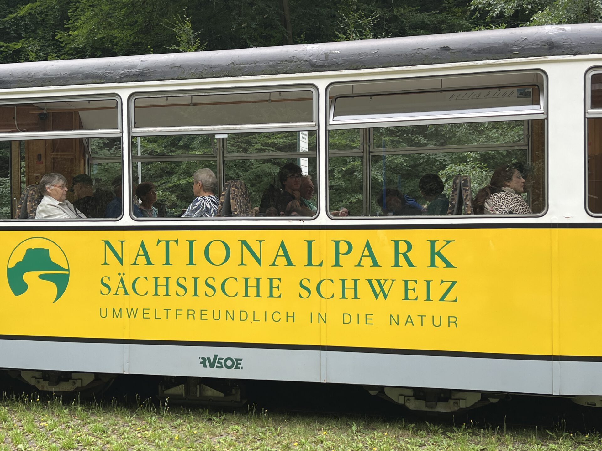 IMG_2047 Straßenbahn in Bad Schandau